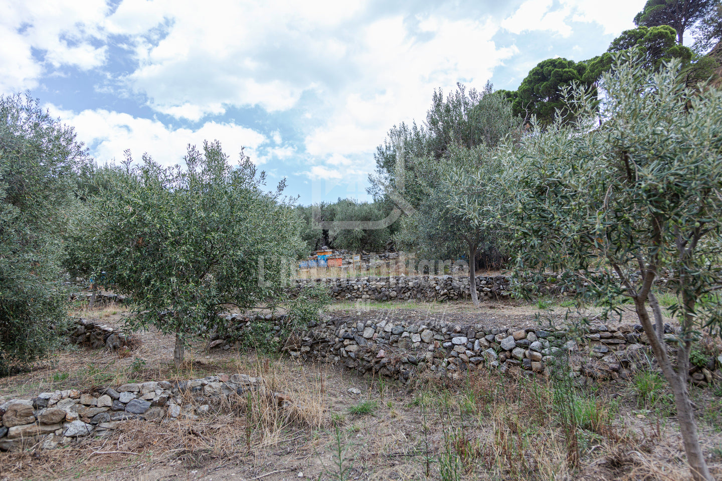 Villa in vendita in contrada Ortera S. Margherita, Messina rif. 30917643