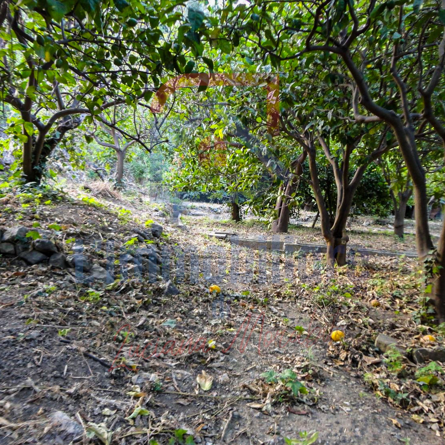 Terreno in vendita in contrada Mulino Vecchio S. Stefano Medio, Messina rif. 27992566