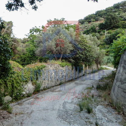 Terreno in vendita in contrada Mulino Vecchio S. Stefano Medio, Messina rif. 27992566