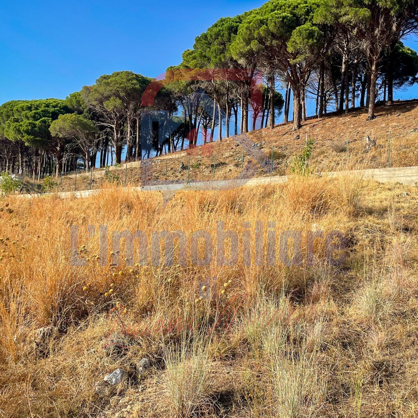 Terreno in vendita in S.Margherita, Messina rif. 28227011