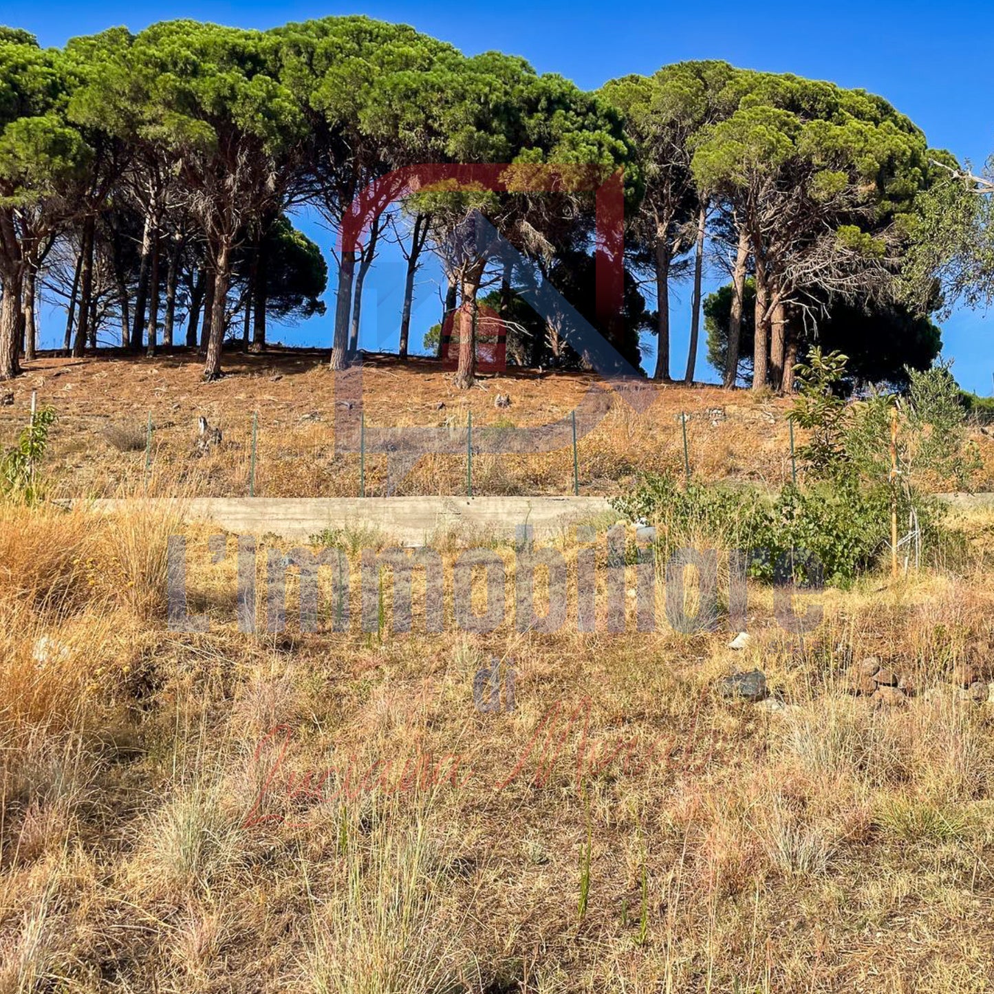 Terreno in vendita in S.Margherita, Messina rif. 28227011